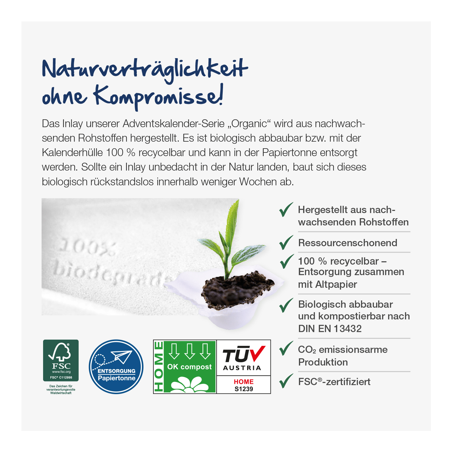 Adventshaus Lindt „Edition“ Organic, inkl. 4-farbigem Druck Adventshaus Lindt „Edition“ Organic, inkl. 4-farbigem Druck