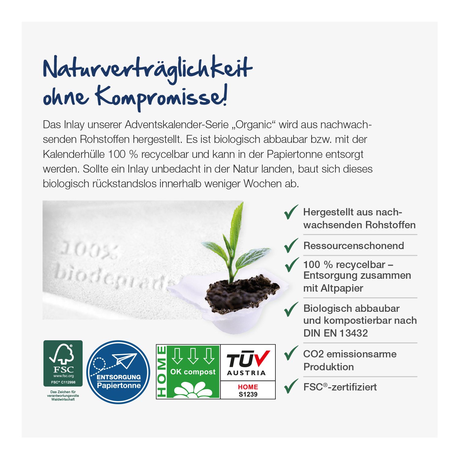 Wand-Adventskalender Organic Sarotti Business Exklusiv, inkl. 4-farbigem Druck Wand-Adventskalender Organic Sarotti Business Exklusiv, inkl. 4-farbigem Druck