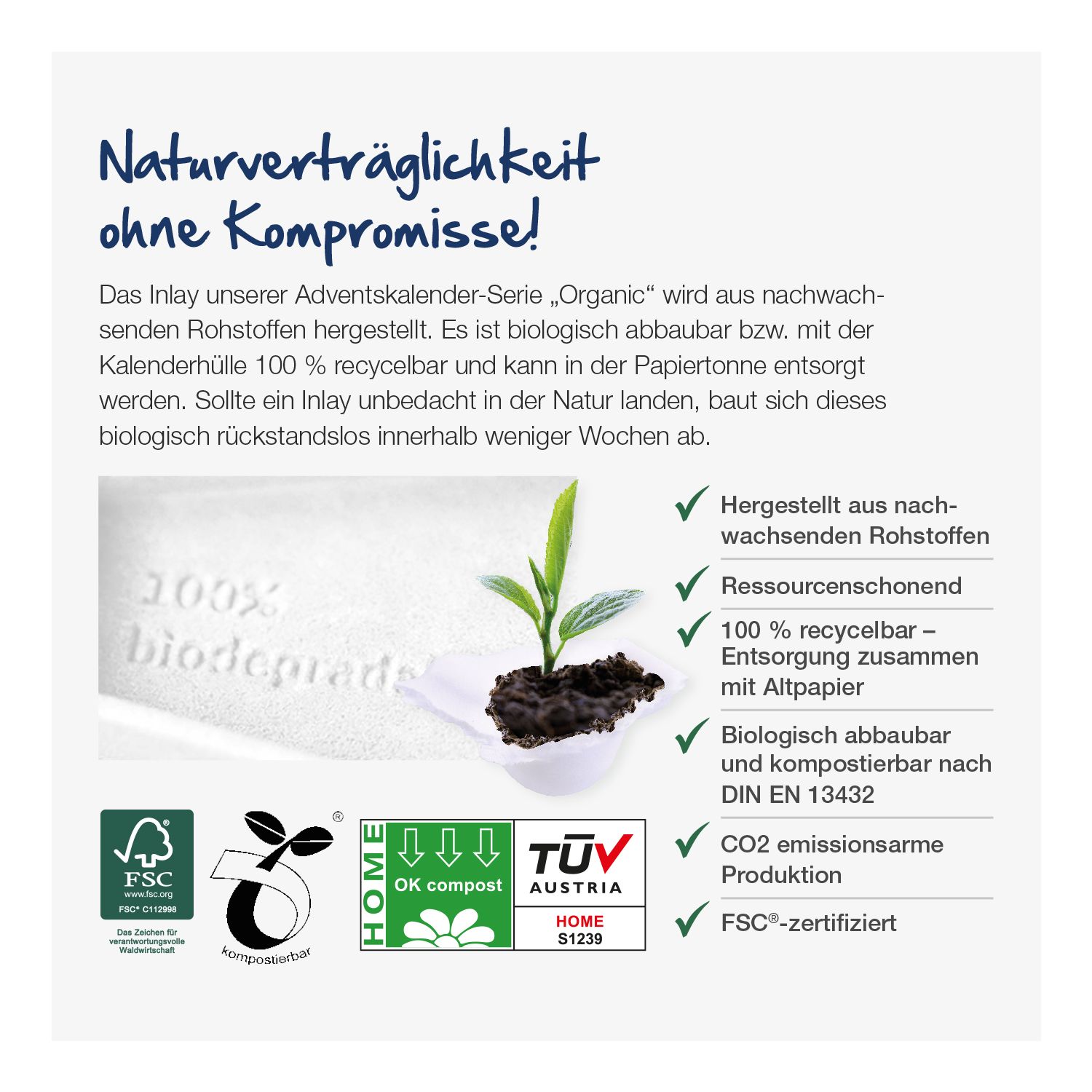 Adventskalender mit Ritter SPORT Schokowürfel Adventskalender mit Ritter SPORT Schokowürfel Organic, inkl. 4-farbigem Druck