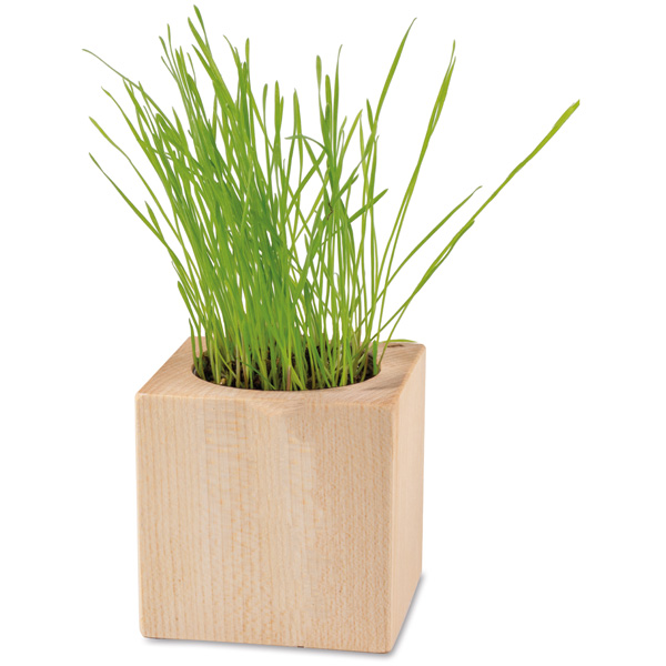 Pflanz-Holz Ostern, inkl. 4-farbigem Druck Pflanz-Holz Ostern, inkl. 4-farbigem Druck