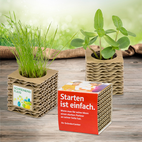Oster-Wellkarton-Pflanzwürfel Mini Oster-Wellkarton-Pflanzwürfel Mini, inkl. 4-farbigem Druck