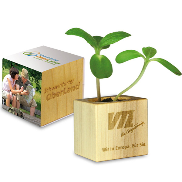 Pflanz-Wuerfel aus Holz Pflanz-Würfel aus Holz, inkl. 4-farbigem Druck