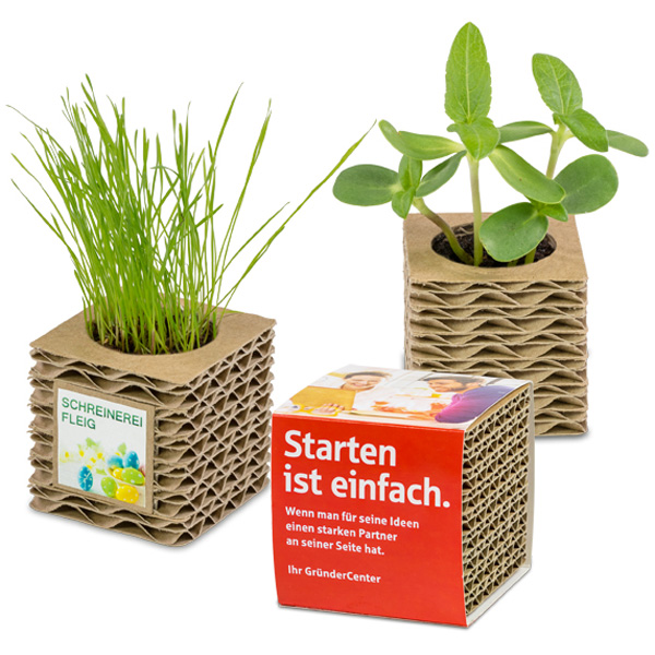 Oster-Wellkarton-Pflanzwürfel Mini Oster-Wellkarton-Pflanzwürfel Mini, inkl. 4-farbigem Druck