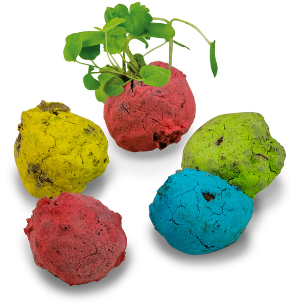 Bunte Mini Flower-Balls Bunte Mini Flower-Balls, inkl. 4-farbigem Druck