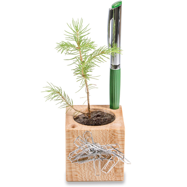 Pflanz-Holz Büro X-mas, inkl. 4-farbigem Druck o. Lasergravur