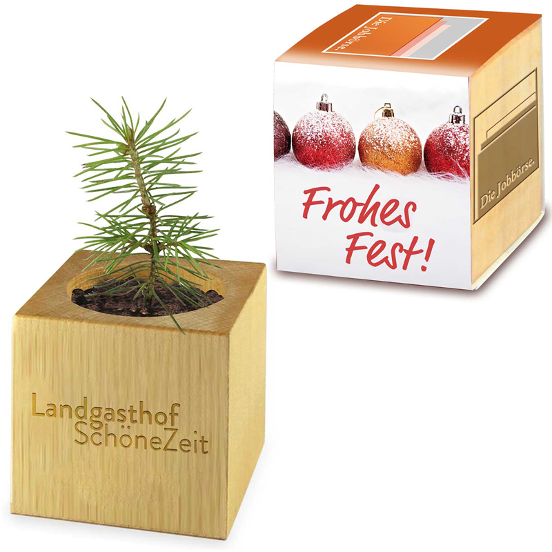 Pflanz-Holz Xmas, inkl. 4-farbigem Druck