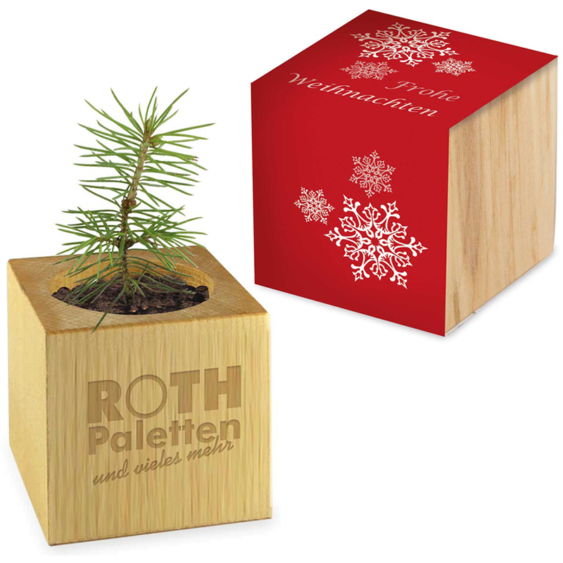 Pflanz-Holz Weihnachten, inkl. Standardmotiv