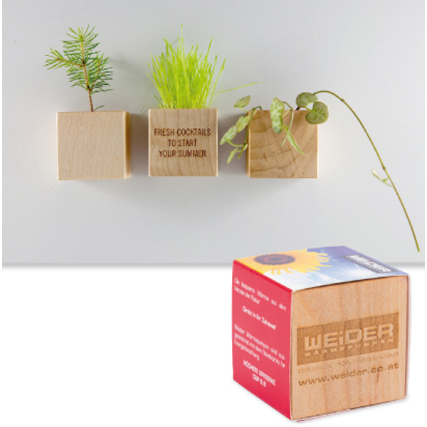 Pflanz-Holz Magnet_2 Pflanz-Holz Magnet, inkl. 4-farbigem Druck