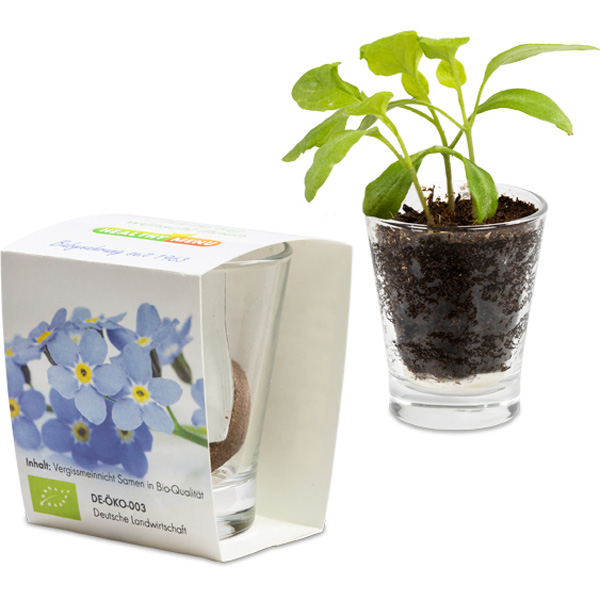 Caffeino-Glas, inkl. 4-farbigem Druck