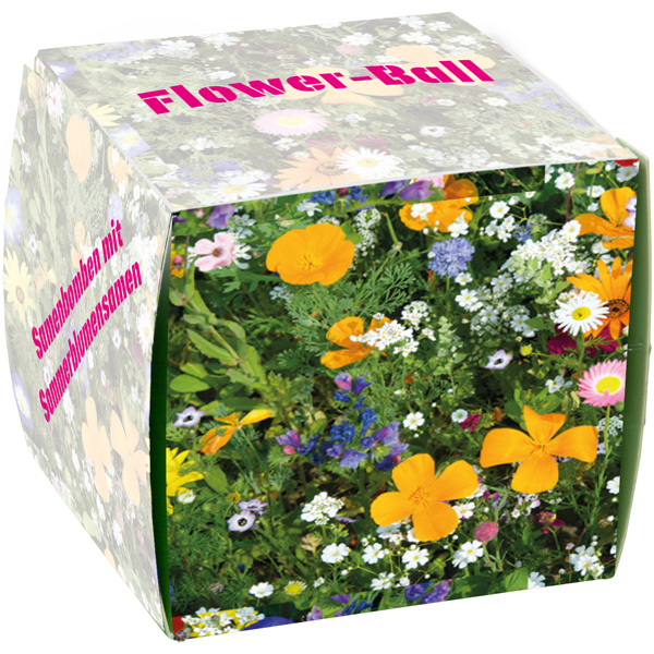Flower-Balls 1er-Box Flower-Balls 1er-Box, inkl. 4-farbigem Druck