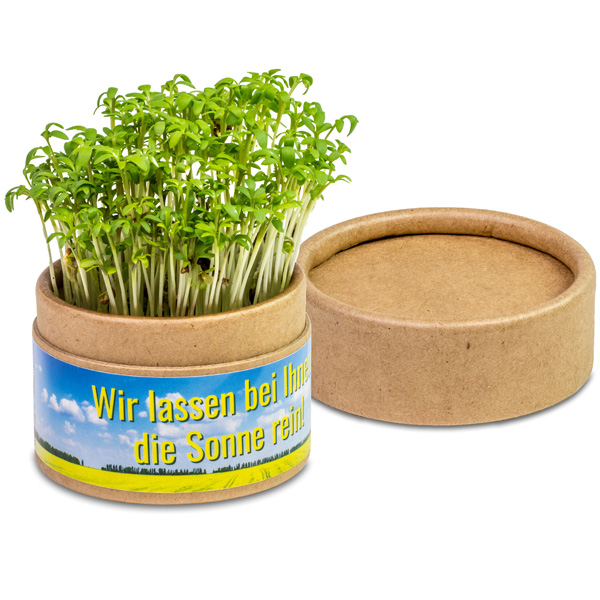 Pflanz-Cup Pflanz-Cup, inkl. 4-farbigem Druck