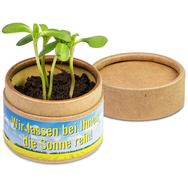Pflanz-Cup Pflanz-Cup, inkl. 4-farbigem Druck