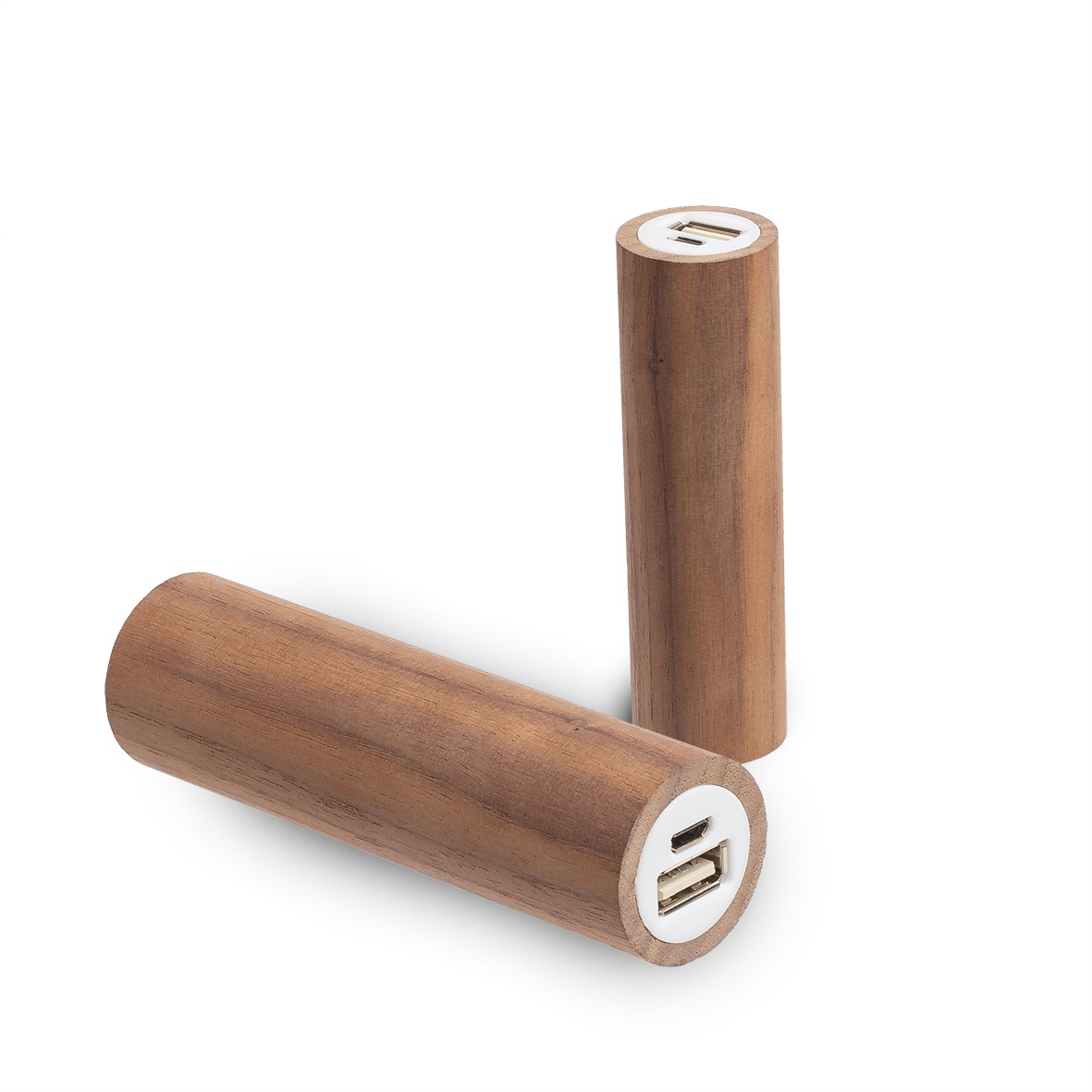 Power Bank Nutwood