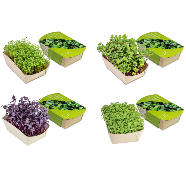 Microgreens-Gärtchen Microgreens-Gärtchen, inkl. 4-farbigem Druck